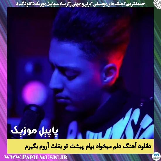 Amir Khoshnegar Delam Mikhad Biam Pishet To Baghalet Aroom Begiram دانلود آهنگ دلم میخواد بیام پیشت تو بغلت آروم بگیرم از امیر خوشنگار